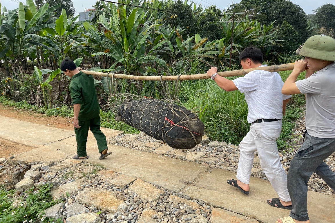 Đưa loài vật từ rừng về nhà nuôi, mỗi năm kiếm nửa tỷ đồng - 11 Đưa loài vật từ rừng về nhà nuôi, mỗi năm kiếm nửa tỷ đồng - 11