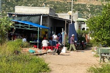 Ăn cá nóc, một người tử vong, 3 người cấp cứu