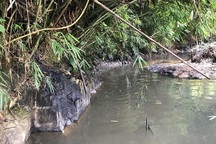 Khởi tố vụ án nước sạch Sông Đà bốc mùi, nhiễm dầu thải