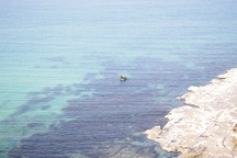 Dân lo ngại Nhà máy Bột - Giấy xả thải làm ô nhiễm biển