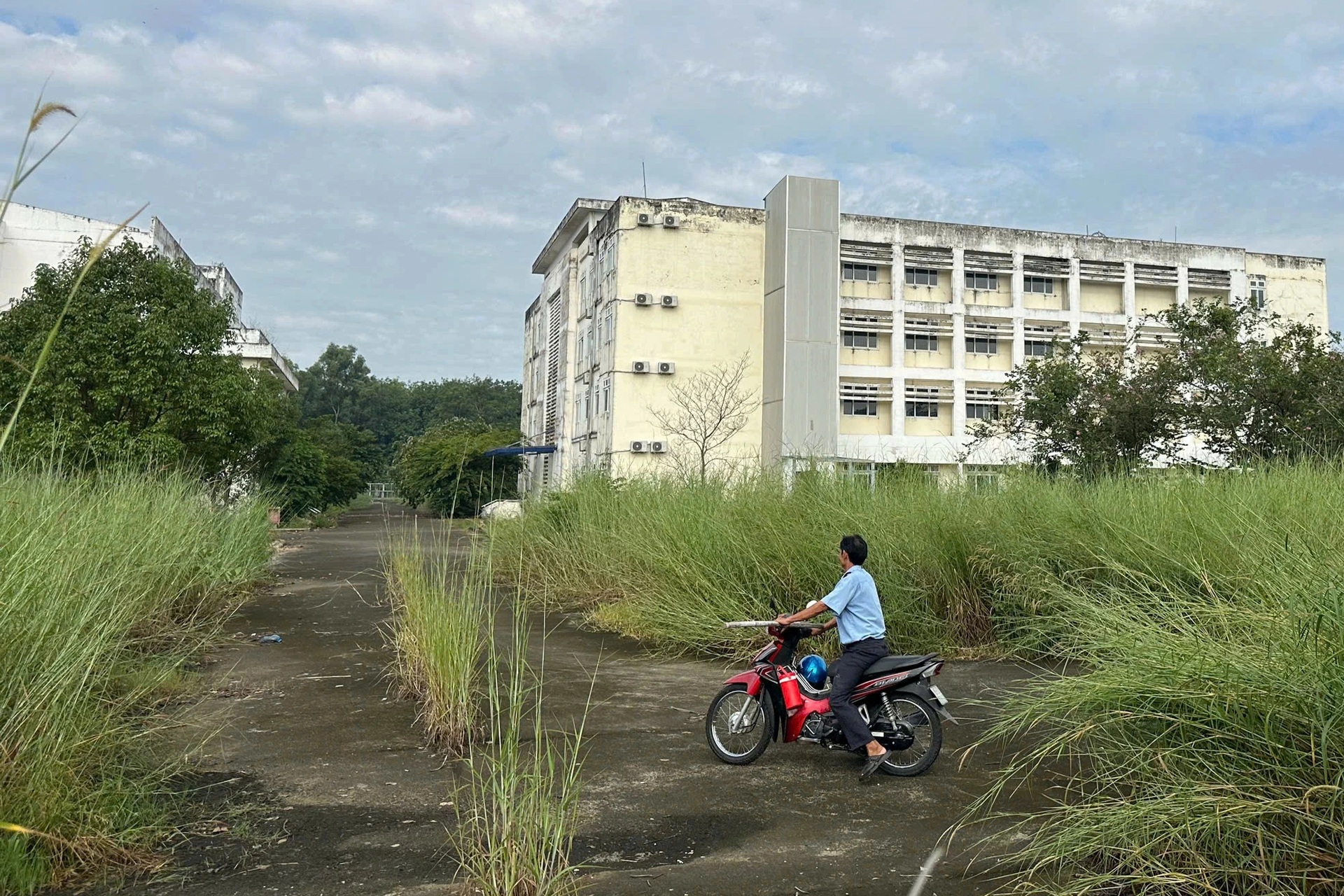 Iarba crește sălbatic într-un spital de miliarde de dolari abandonat de mulți ani în orașul Ho Chi Minh - 1 Cỏ mọc um tùm bên trong bệnh viện trăm tỷ bỏ hoang nhiều năm ở TPHCM - 1