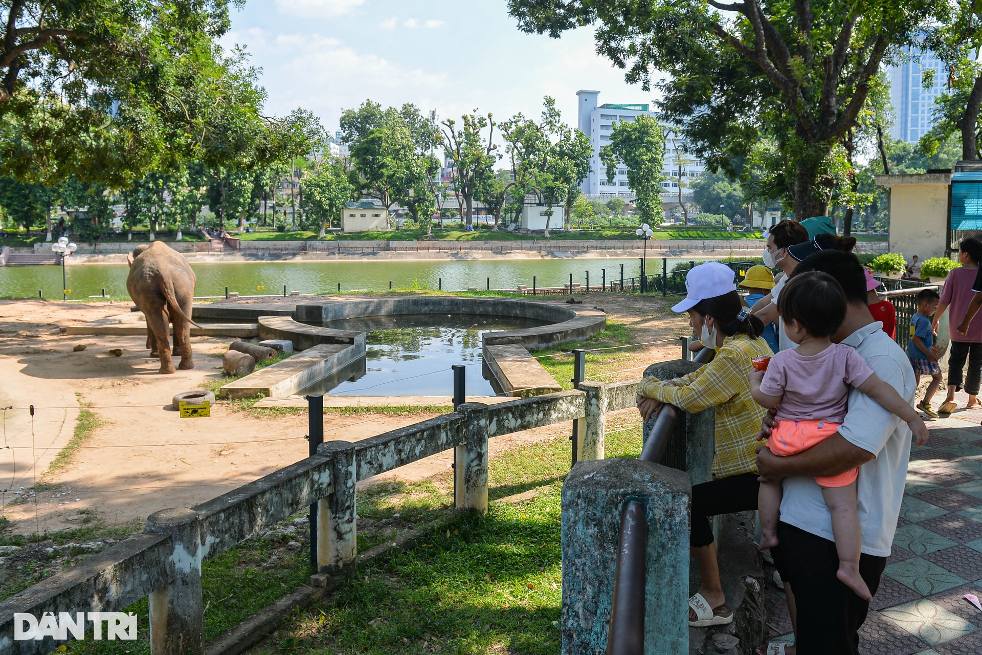 Ngày đầu nghỉ lễ 2/9, người dân đội nắng ùn ùn đổ về vườn thú Hà Nội - 8