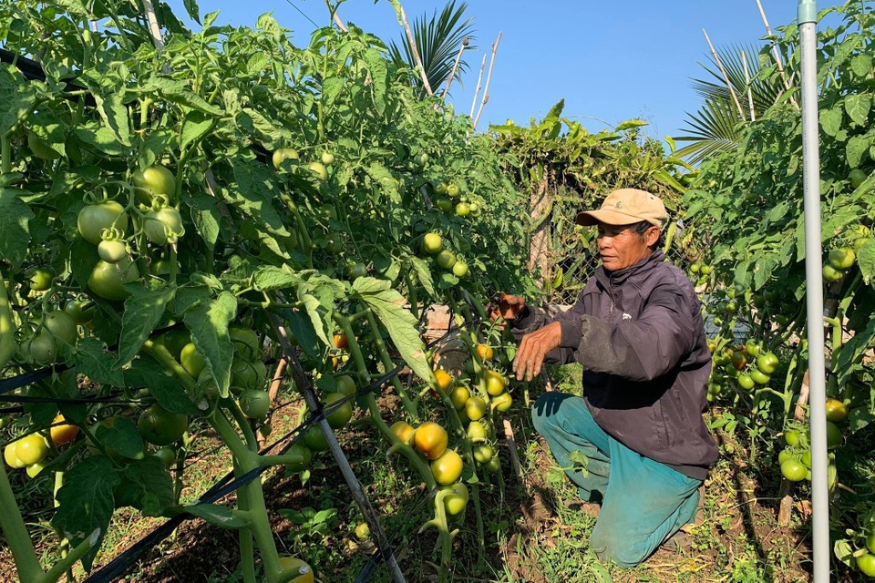 Thứ trưởng Bộ LĐ-TBXH chia sẻ kinh nghiệm khuyến khích dân thoát nghèo - 4 Thứ trưởng Bộ LĐ-TBXH chia sẻ kinh nghiệm khuyến khích dân thoát nghèo - 4