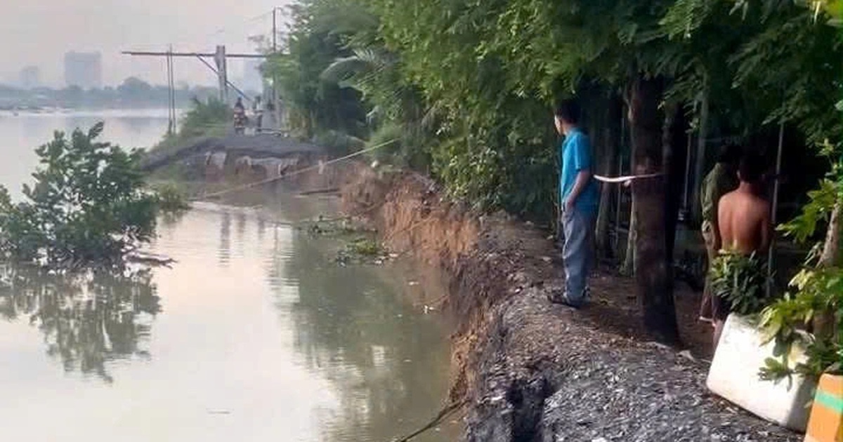 Sạt lở bờ đê ven sông ở TPHCM, lên phương án di dời 6 hộ dân