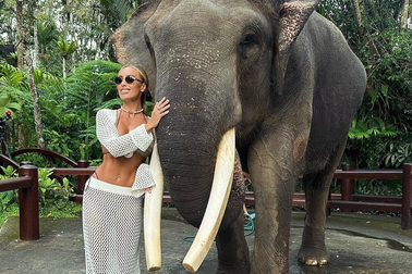 Mặc bikini tạo dáng bên chú voi bị cưa ngà, nữ du khách bị chỉ trích