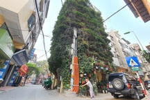 Nhà cây 5 tầng phủ kín hoa giấy ở Hà Nội, ai đi qua cũng dừng lại ngắm