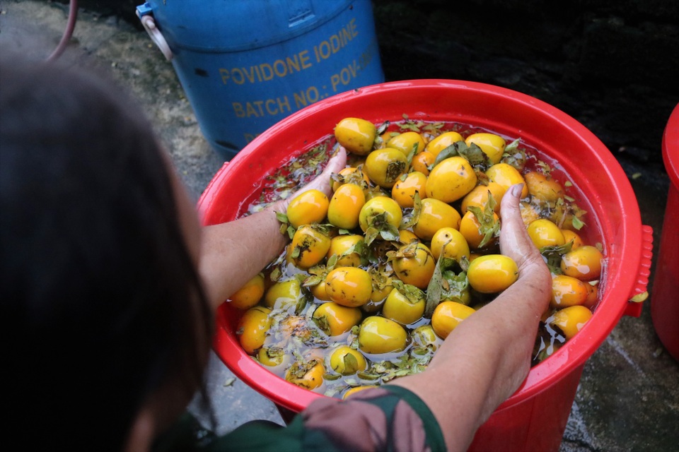 Hà Tĩnh: Hồng Yên Du được mùa, người dân phấn khởi “đếm quả, lấy tiền” - 12 Hà Tĩnh: Hồng Yên Du được mùa, người dân phấn khởi “đếm quả, lấy tiền” - 12