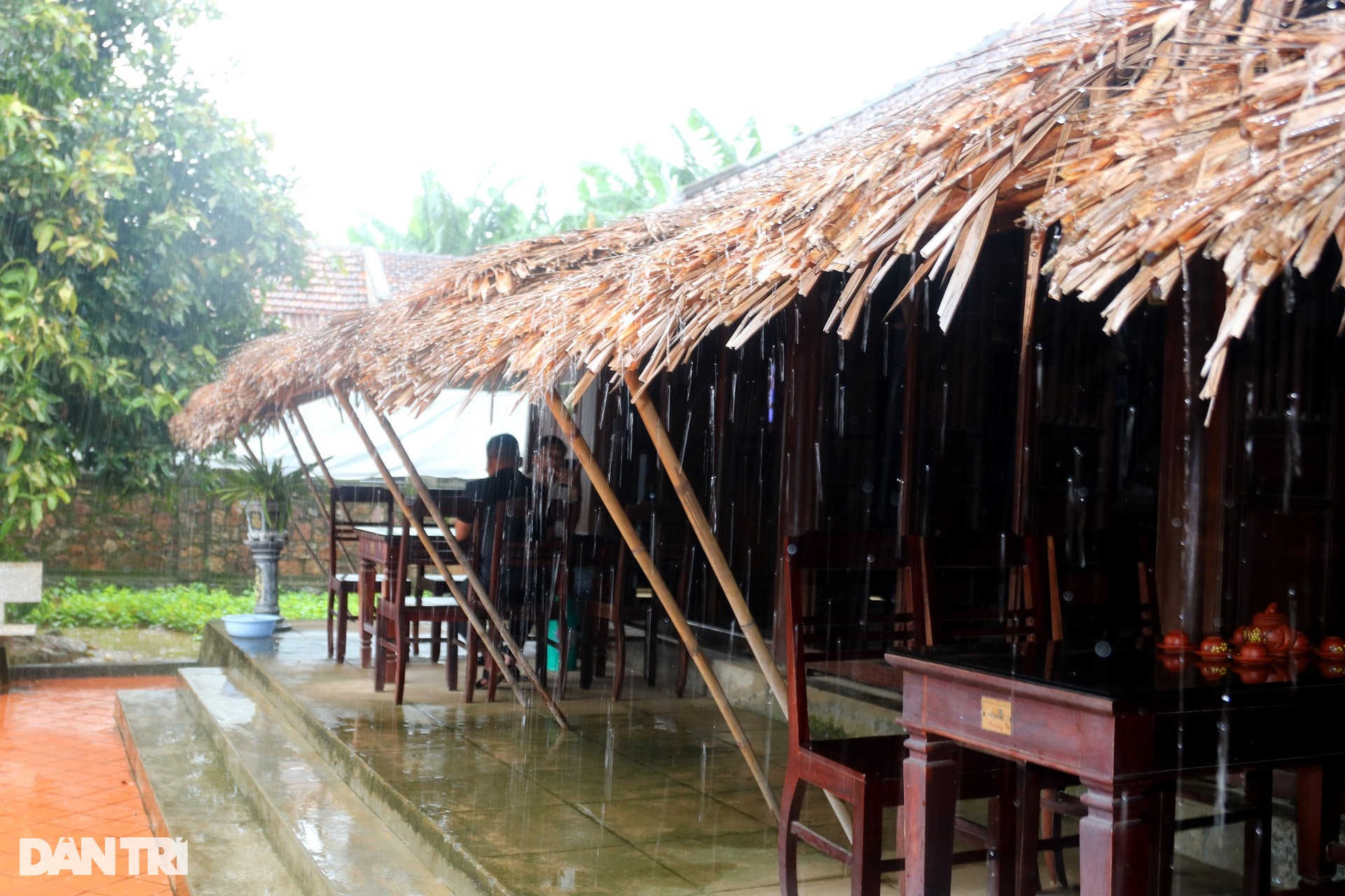 Ngôi nhà bình dị và cây khế cổ gắn với tuổi thơ Đại tướng Võ Nguyên Giáp - 5 Ngôi nhà bình dị và cây khế cổ gắn với tuổi thơ Đại tướng Võ Nguyên Giáp - 5