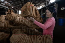 Thêm 1 triệu người hưởng trợ cấp hưu trí khi điều kiện tuổi giảm xuống 75