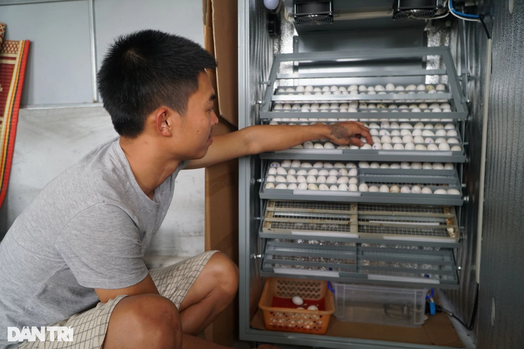 Người đàn ông gây bất ngờ từng là con nợ của cả làng - 5 Người đàn ông gây bất ngờ từng là con nợ của cả làng - 5