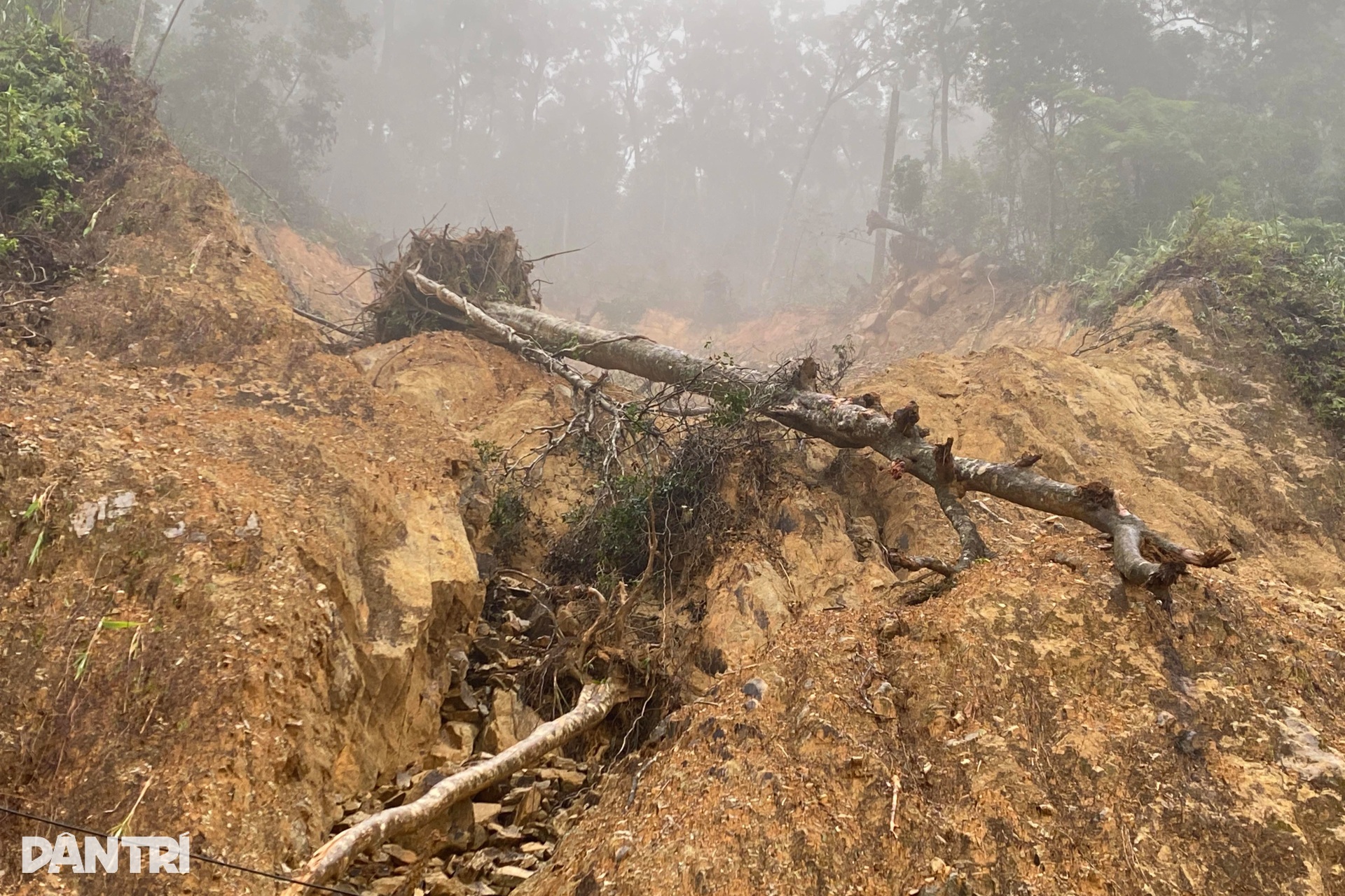 Cầu bị xô nghiêng, sạt lở bủa vây đường, nhà dân trên đỉnh Trường Sơn - 10