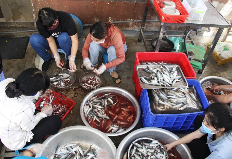 Người Đà thành kho cá, làm bánh tét tiếp sức TPHCM chống dịch - 1 Người Đà thành kho cá, làm bánh tét tiếp sức TPHCM chống dịch - 1