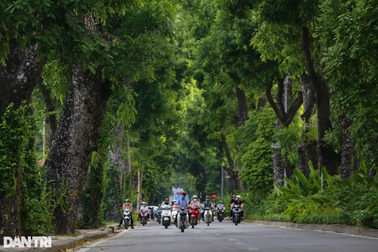 1 triệu cây xanh và những đồng tiền bẩn