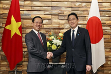 Tiến trình nâng cấp quan hệ Việt Nam - Nhật Bản lên mức cao nhất