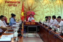 Tạm đình chỉ một Chủ tịch thị trấn ở Phú Yên