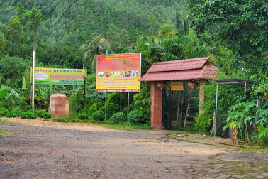 Bình Định sẽ cưỡng chế công trình vi phạm trên đất lâm nghiệp