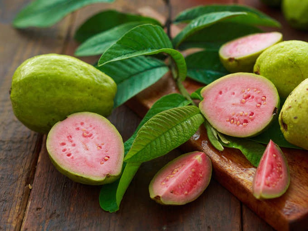 Lợi ích tuyệt vời của quả ổi và những lưu ý khi ăn - 1 Lợi ích tuyệt vời của quả ổi và những lưu ý khi ăn - 1