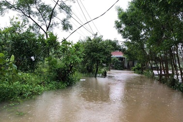 Người đàn ông tử vong vì vướng vào dây điện bị đứt giữa lúc mưa lũ