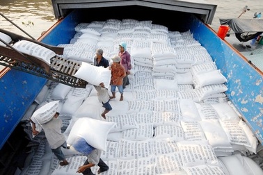 Xuất khẩu gạo đánh mất “cơ hội vàng”, doanh nghiệp tiếp tục khó khăn