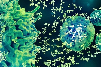 Chủ động phòng ngừa HPV từ hôm nay