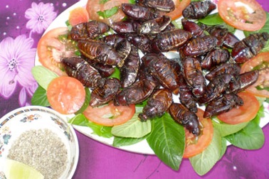 Về miền Tây ăn “đặc sản rợn người”