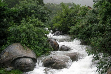 Trượt chân ngã khi chụp hình ở suối, 2 thanh niên tử vong