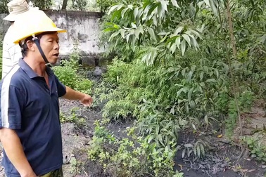 Con mương thoát nước thải than gây ô nhiễm