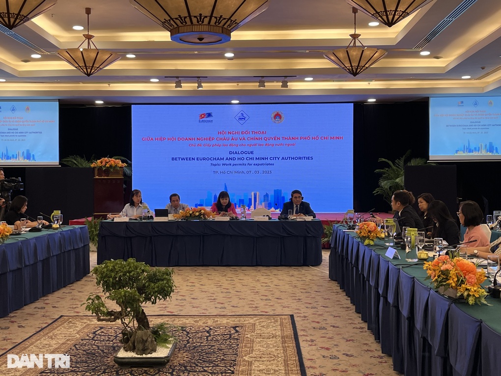 Bị phàn nàn về cấp phép cho chuyên gia ngoại, TPHCM nói phải đúng quy định - 1 Bị phàn nàn về cấp phép cho chuyên gia ngoại, TPHCM nói phải đúng quy định - 1