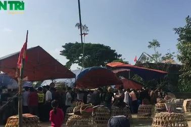 Về “nơi hội tụ của niềm tin” xem những chú gà quyết chiến