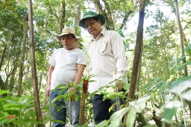 Hàng trăm tỷ đồng "mắc kẹt" trong rừng