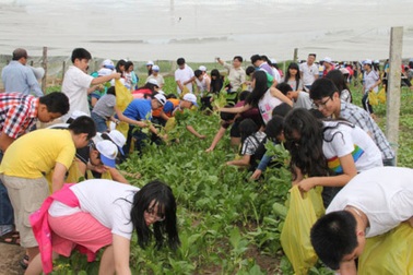 Dạy học từ thực tế