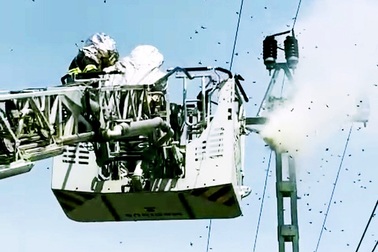 Cảnh sát dùng xe chuyên dụng phá tổ ong đốt nhiều người