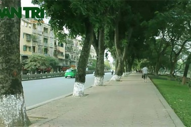 Người Hà Nội nuối tiếc “con đường Hàn Quốc”