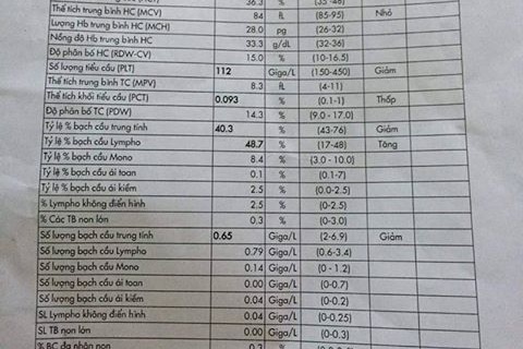 Khi nào cần xét nghiệm theo dõi hạ tiểu cầu, cô đặc máu vì sốt xuất huyết?