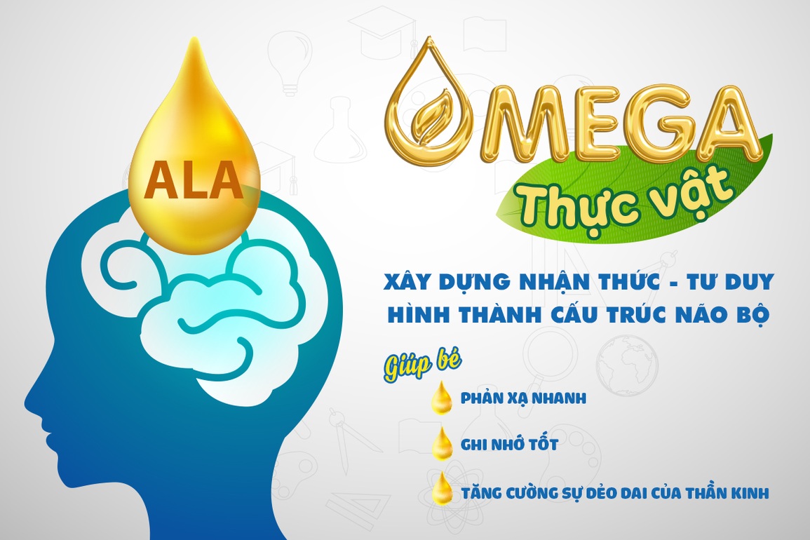 Sự thật về Omega thực vật và Omega động vật: Mẹ cần biết - 1 Sự thật về Omega thực vật và Omega động vật: Mẹ cần biết - 1