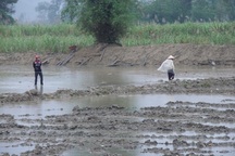 “Chỉ một người dân không có gạo ăn, tôi xin từ chức ngay”