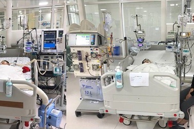 Ong vò vẽ tấn công 5 bà cháu, 2 người tử vong, 3 người nguy kịch