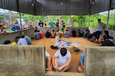 Gần trăm cảnh sát đột kích trường gà ở Bình Dương thu súng và kiếm Nhật