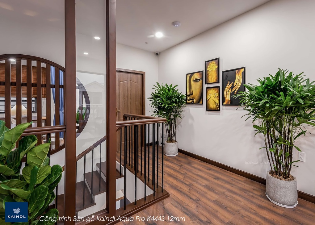 1st Floor với hệ sinh thái sản phẩm sàn gỗ cao cấp - 2 1st Floor với hệ sinh thái sản phẩm sàn gỗ cao cấp - 2