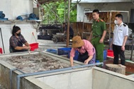 Phát hiện hơn 3 tấn lòng lợn bốc mùi tại một cơ sở ở Bắc Ninh