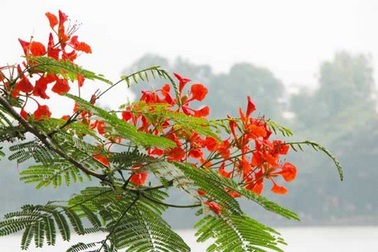 “Cô cảm ơn các em”