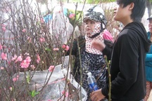 Công chức, viên chức được nghỉ 9 ngày dịp Tết Âm lịch