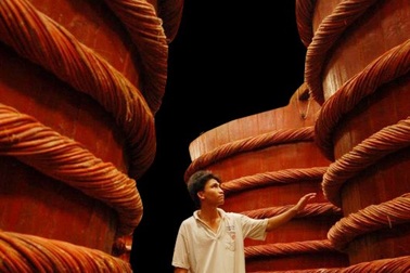 Đại biểu Quốc hội: Việc làm của Vinastas "sai lầm, đáng xấu hổ"