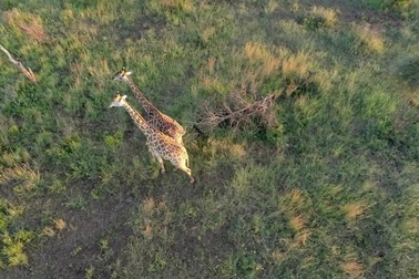 Khám phá Vườn quốc gia Kruger