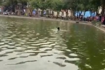 Giao công an xác minh vụ cô gái nhảy xuống hồ Hoàn Kiếm tử vong