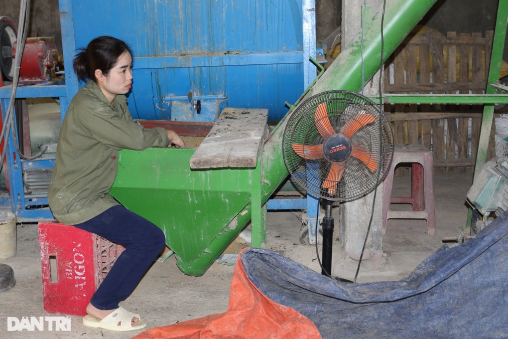 Sau biến cố, nhân viên y tế đầu tư nuôi lợn bằng thảo dược, lãi khủng - 2 Sau biến cố, nhân viên y tế đầu tư nuôi lợn bằng thảo dược, lãi khủng - 2