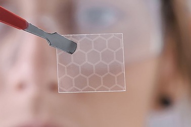 Các nhà nghiên cứu tìm ra vi khuẩn có thể tạo ra siêu vật liệu kỳ diệu