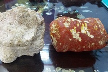 Tưởng như chất thải vô giá trị, ít ai biết thứ này "đắt hơn vàng"