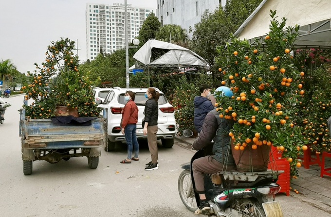 Người dân đi chợ mua cây cảnh dịp Tết tại TP Thanh Hóa