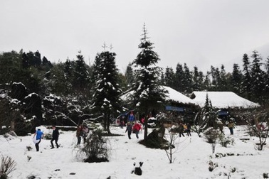 Dân du lịch háo hức chờ tuyết rơi ở Sapa